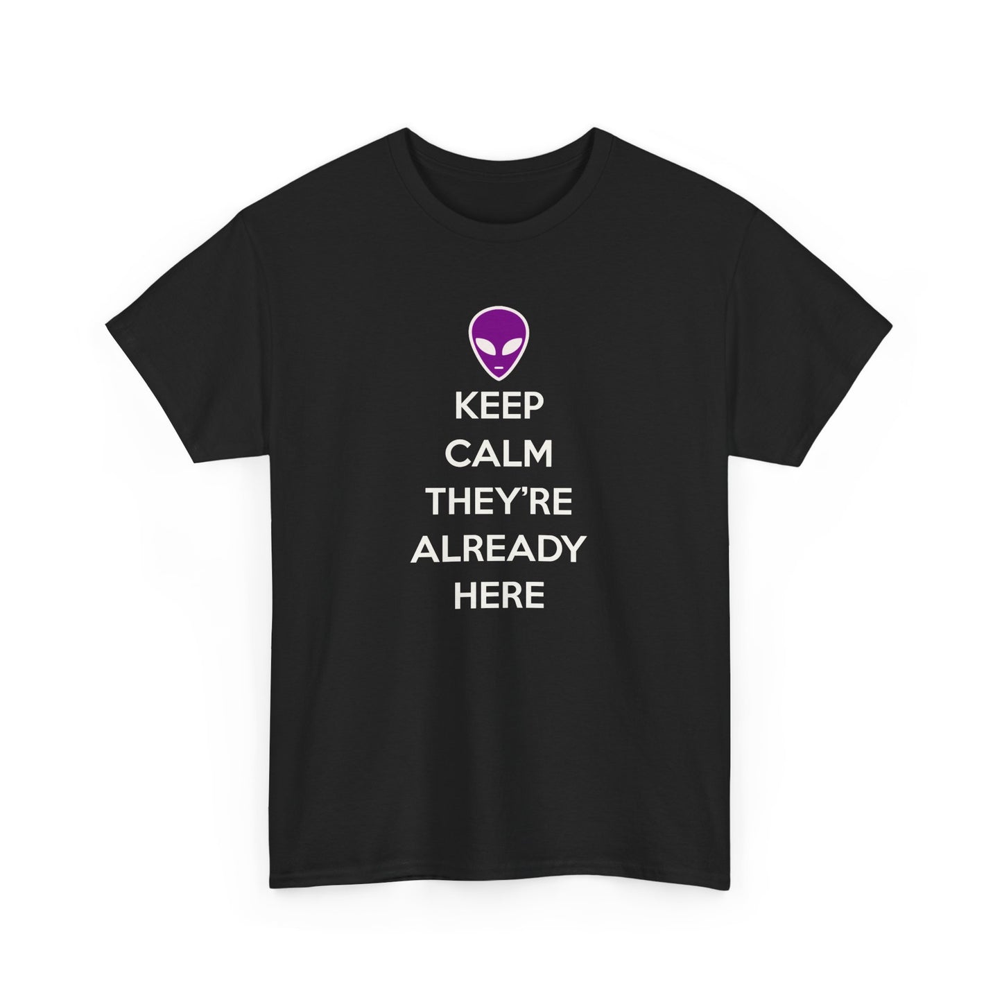 Keep Calm They're Already Here Alien Tee