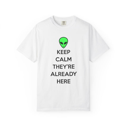 Keep Calm They're Already Here Alien